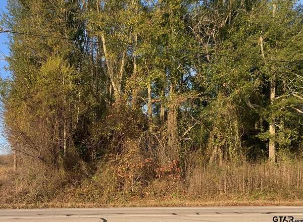 0.2 Acres of Residential Land for Sale in Tyler, Texas