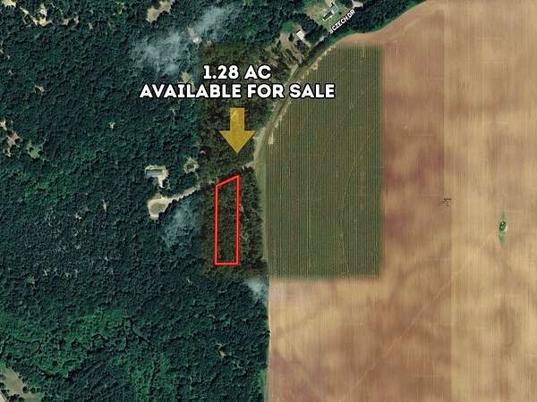 1.28 Acres of Residential Land for Sale in Friendship, Wisconsin