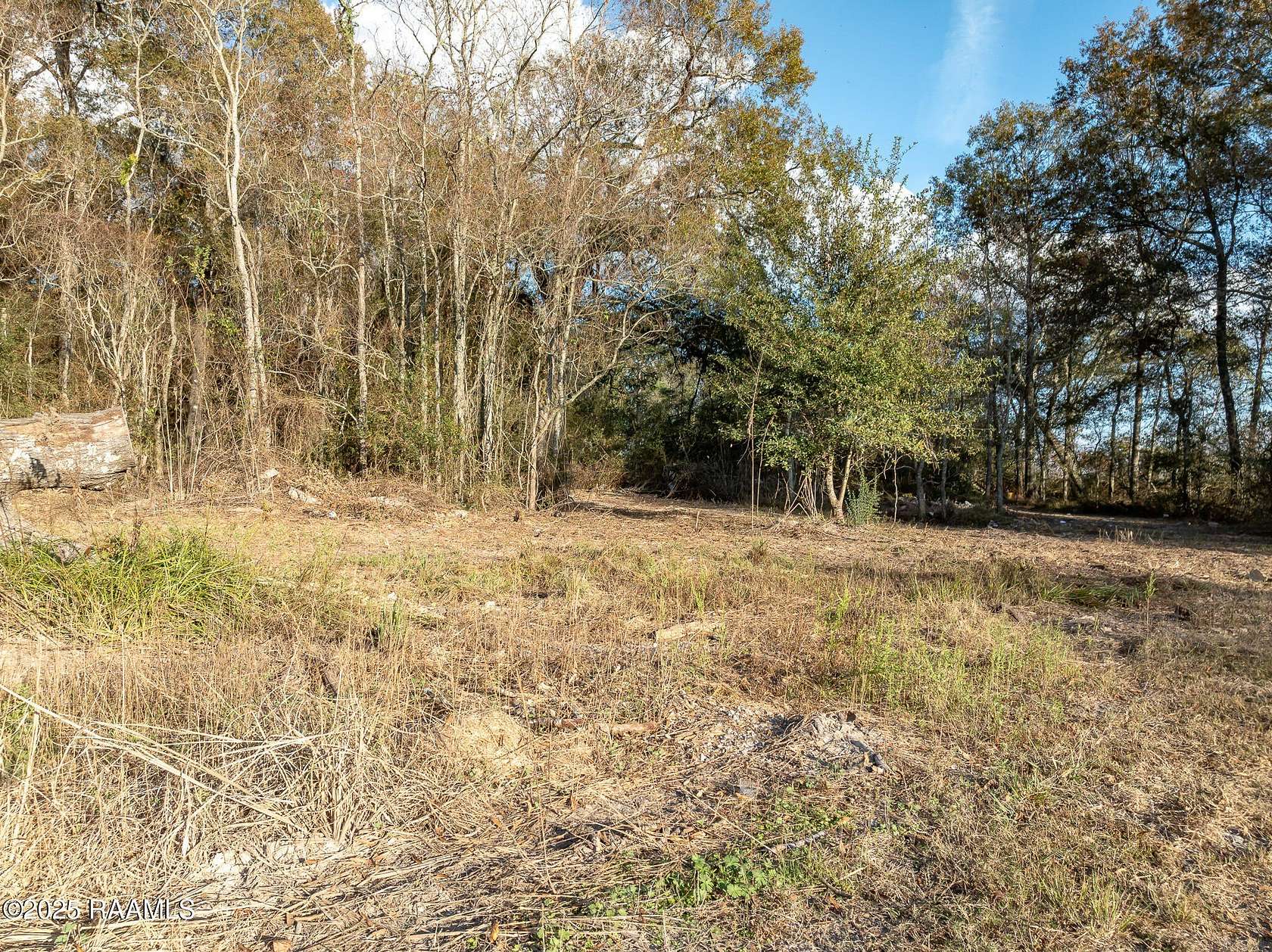 4.23 Acres of Residential Land for Sale in Elton, Louisiana