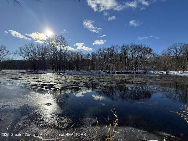 3 Acres of Land for Sale in Portland, Michigan