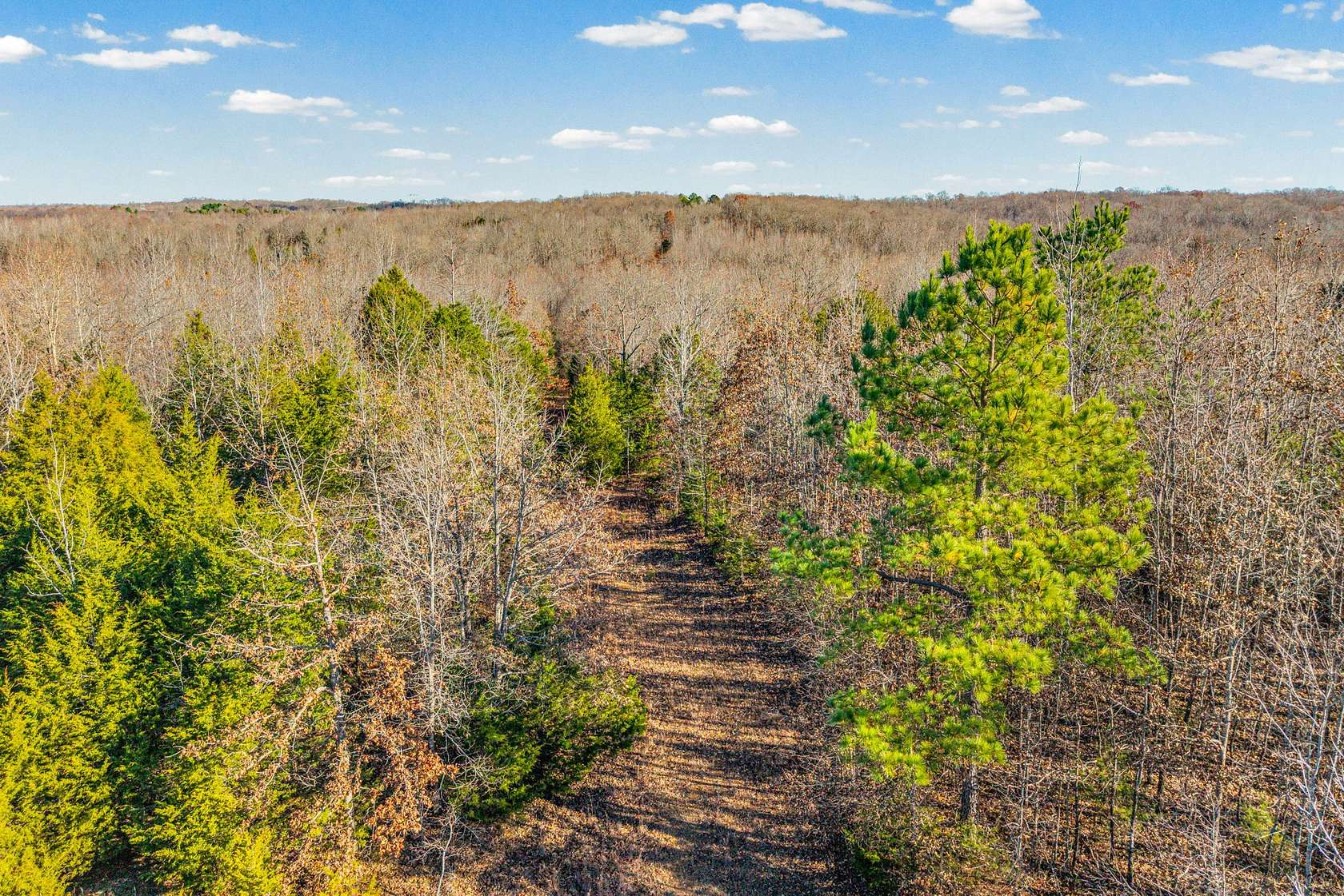 96.4 Acres of Recreational & Residential Land for Sale in Cumberland City, Tennessee
