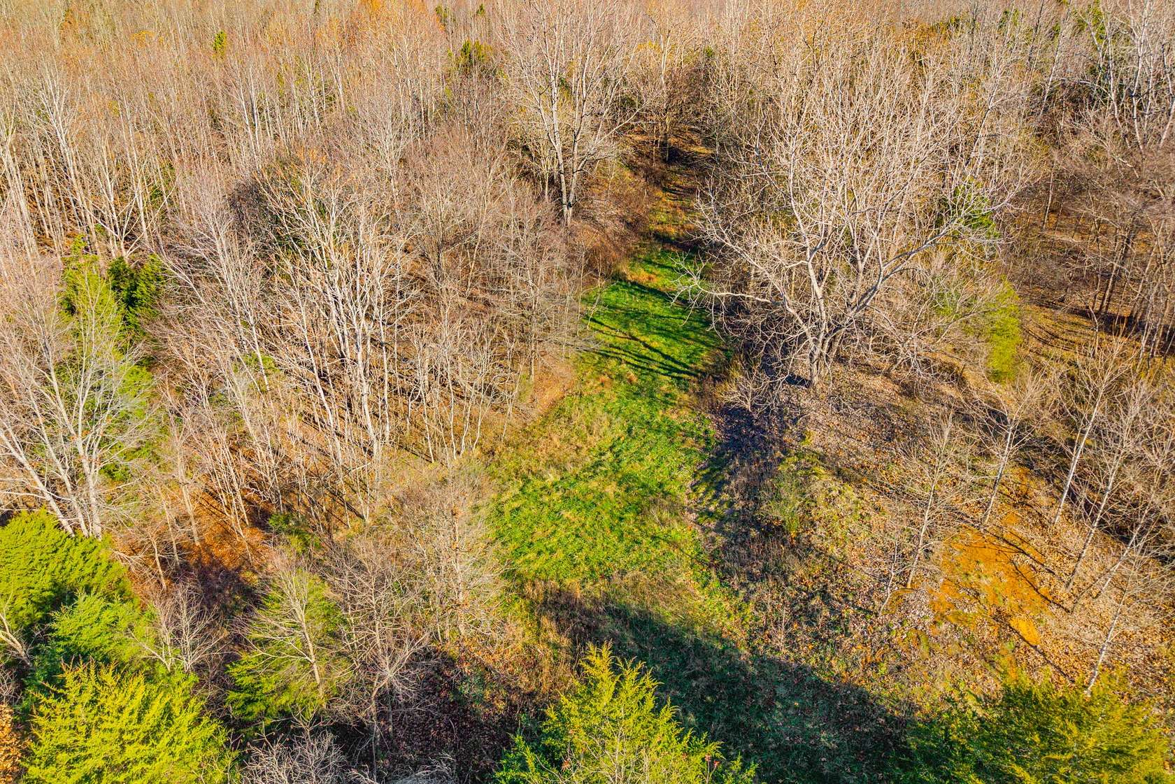 96.4 Acres of Recreational Land for Sale in Cumberland City, Tennessee