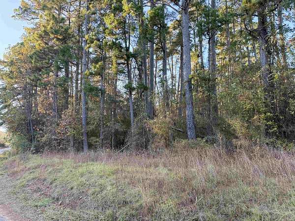 0.46 Acres of Residential Land for Sale in Gilmer, Texas
