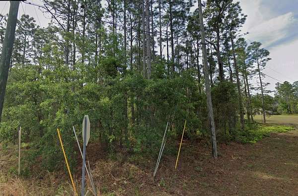 0.33 Acres of Residential Land for Sale in Homosassa, Florida