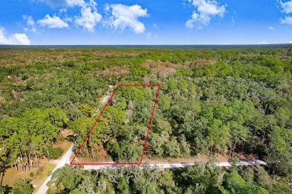1 Acre of Residential Land for Sale in Webster, Florida