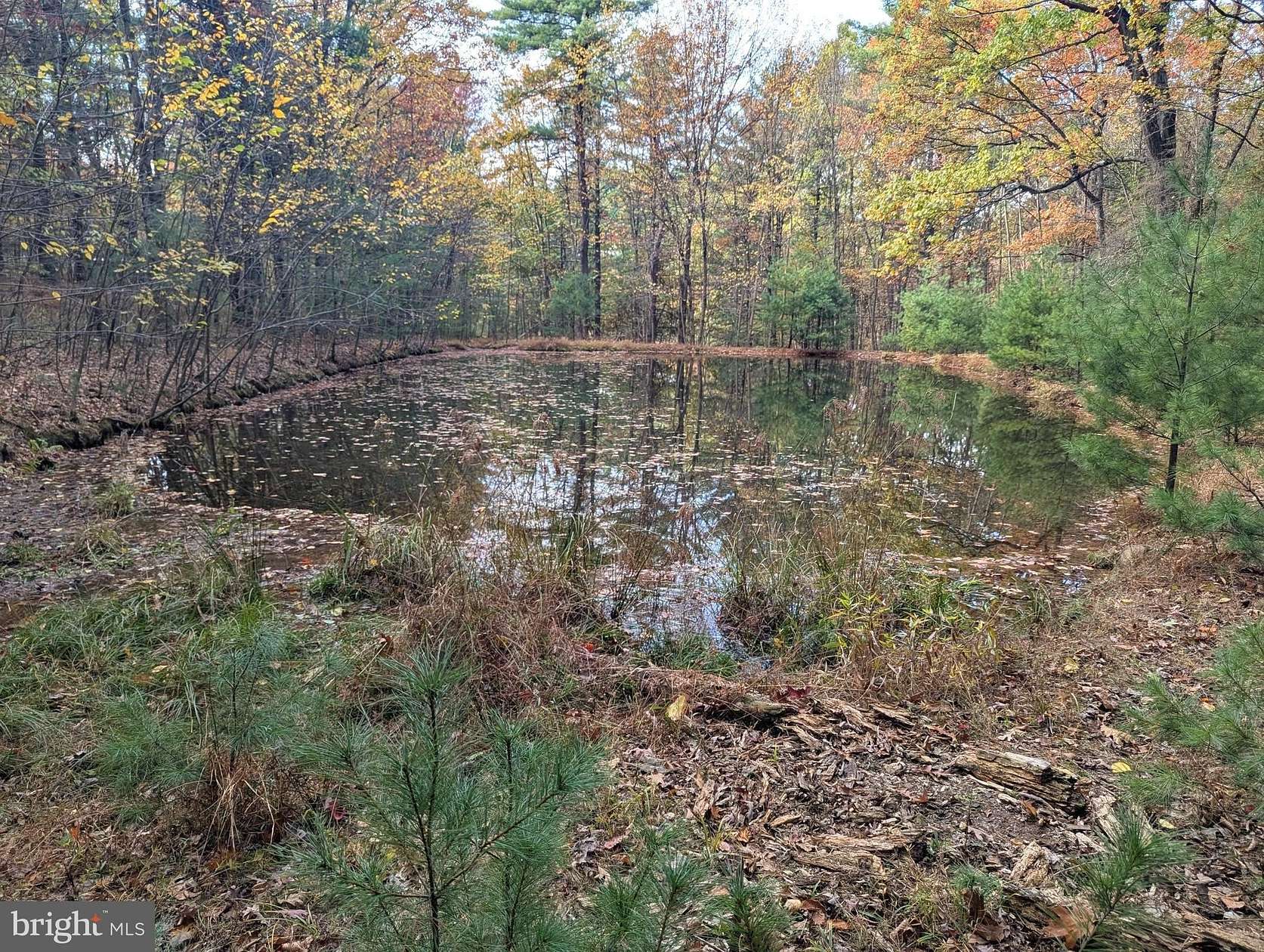 10 Acres of Recreational Land for Sale in Catawissa, Pennsylvania