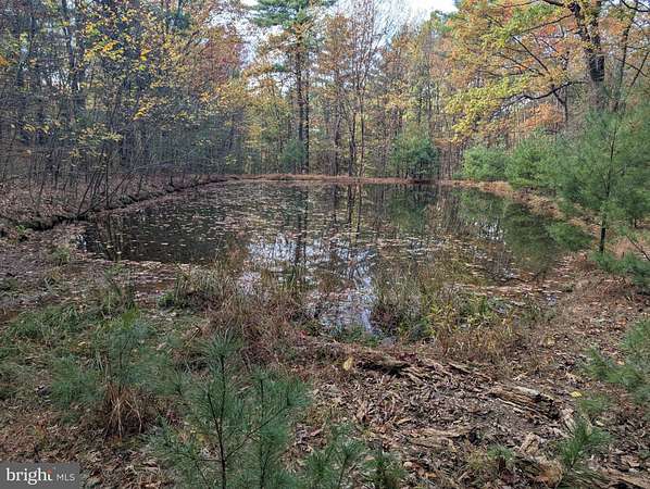 10 Acres of Recreational Land for Sale in Catawissa, Pennsylvania