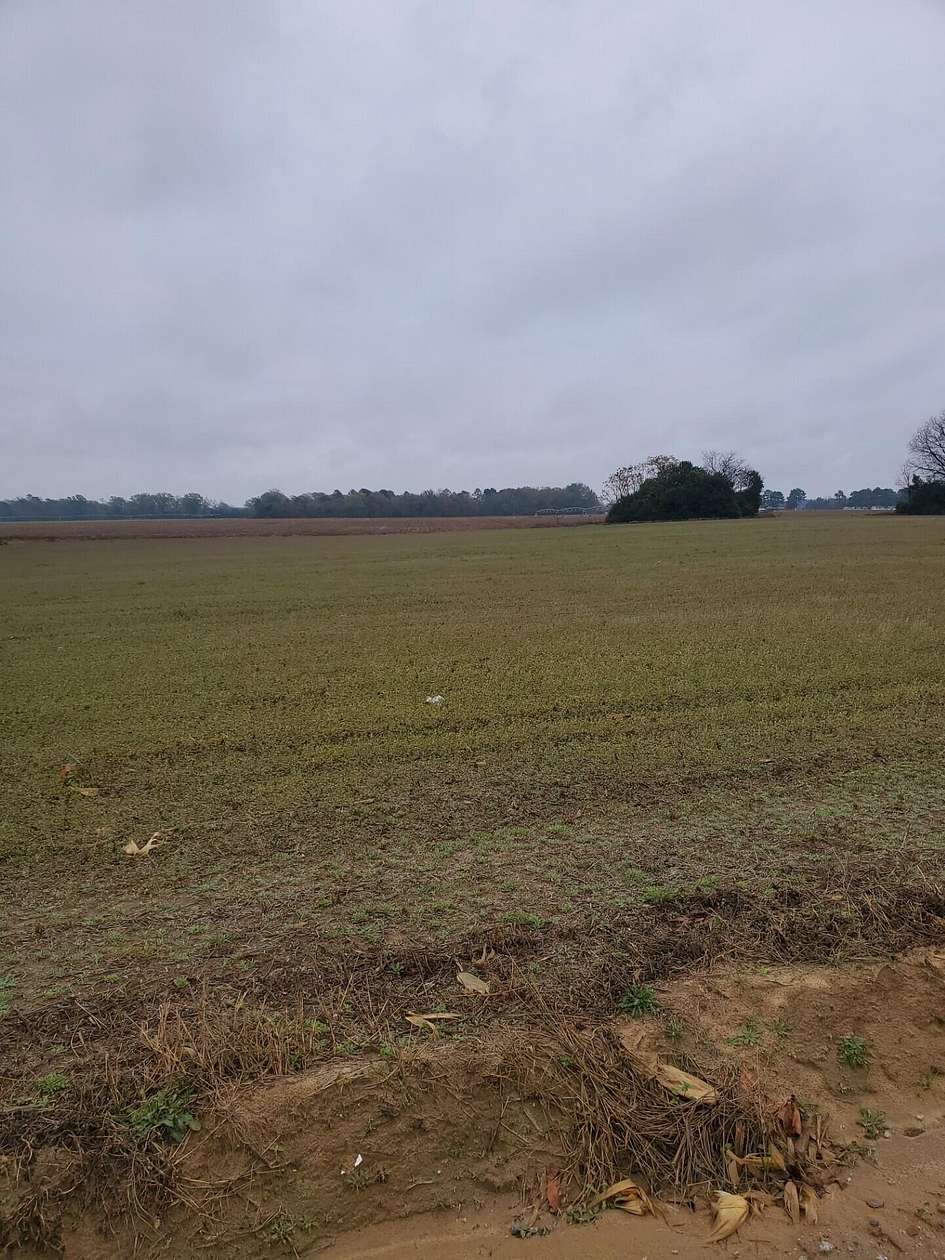 18.3 Acres of Land for Sale in Sumter, South Carolina