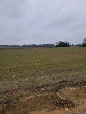 18.3 Acres of Land for Sale in Sumter, South Carolina