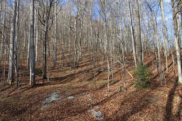 4.3 Acres of Land for Sale in Franklin, North Carolina