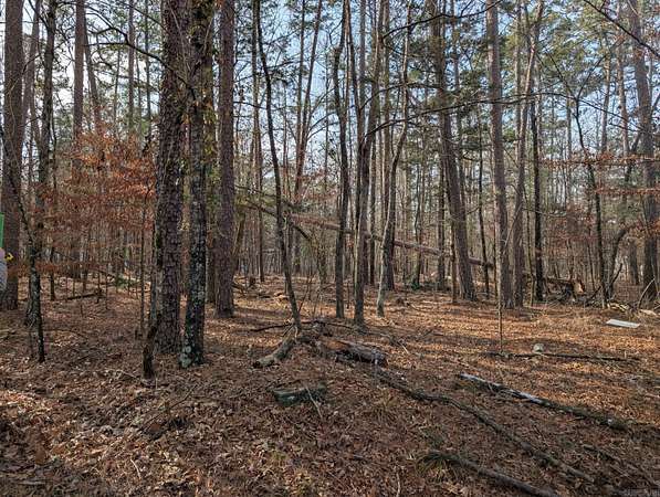 0.24 Acres of Residential Land for Sale in Hot Springs Village, Arkansas