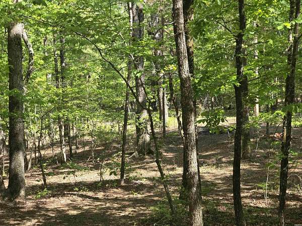 0.31 Acres of Land for Sale in Hot Springs, Arkansas