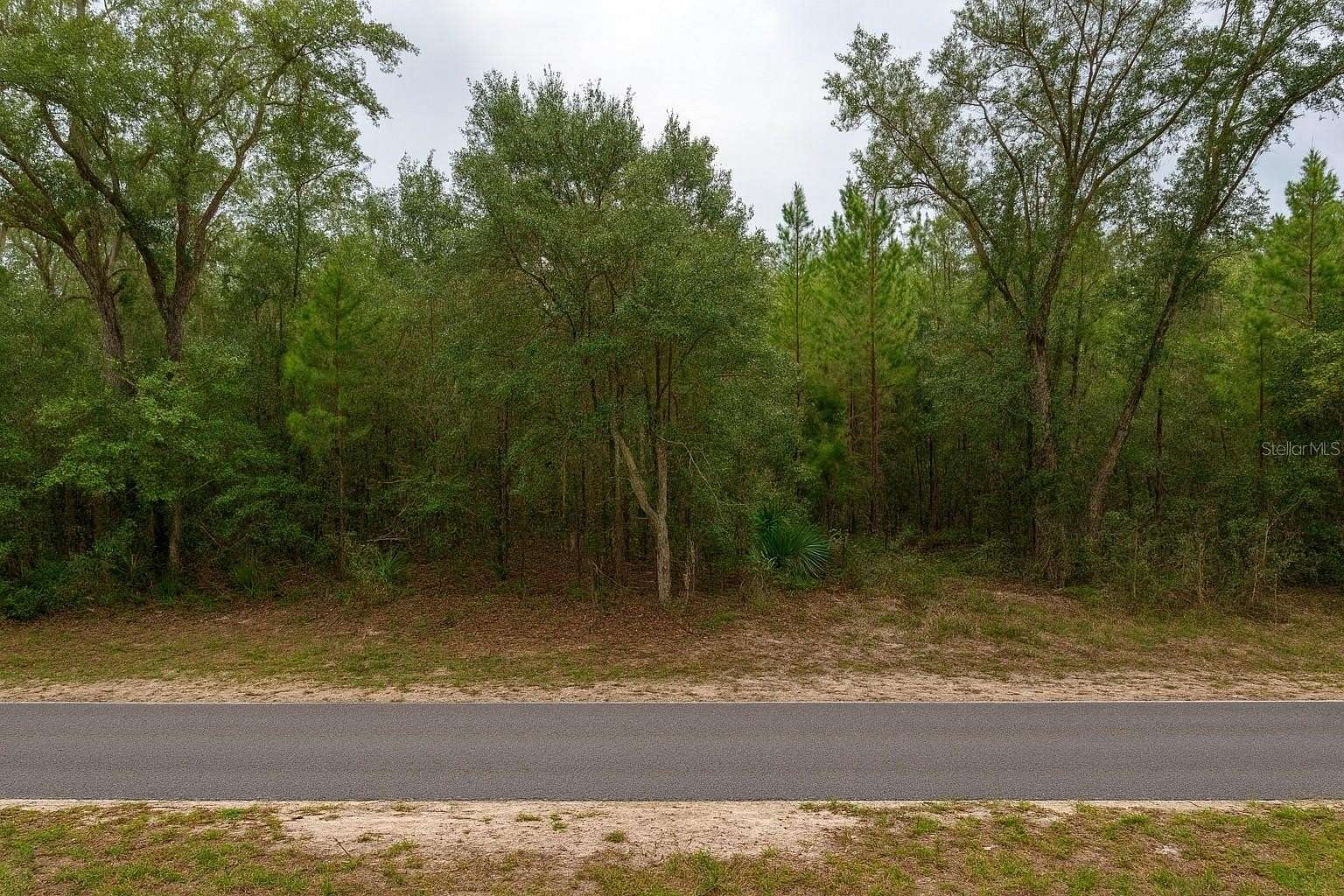 0.22 Acres of Residential Land for Sale in Inverness, Florida