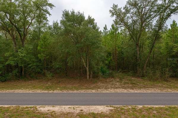 0.22 Acres of Residential Land for Sale in Inverness, Florida