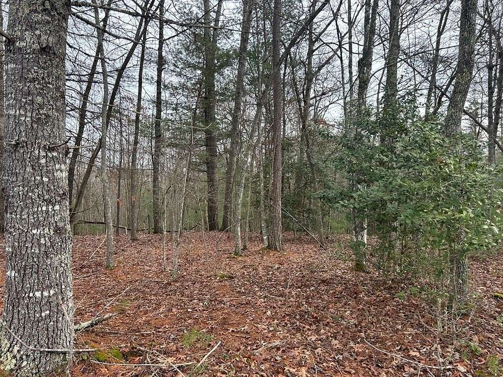 1.16 Acres of Land for Sale in Morganton, Georgia