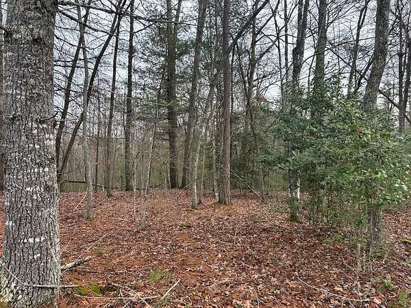 1.16 Acres of Land for Sale in Morganton, Georgia