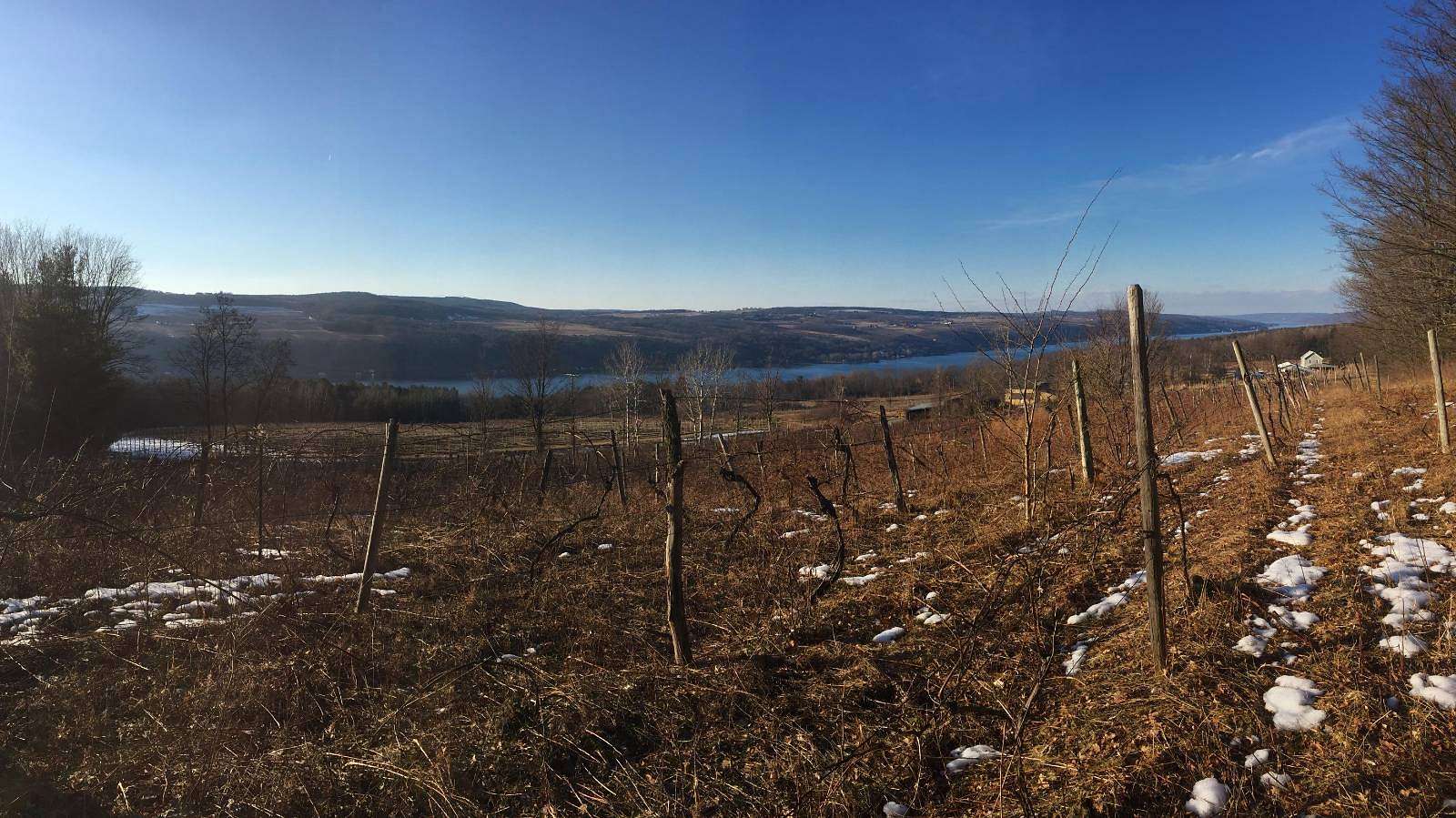 6 Acres of Residential Land for Sale in Hammondsport, New York