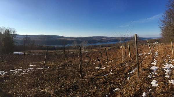 6 Acres of Residential Land for Sale in Hammondsport, New York