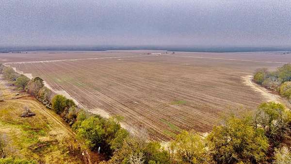 364 Acres of Recreational Land & Farm for Sale in Friendship, Arkansas