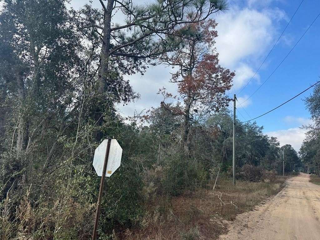 0.45 Acres of Residential Land for Sale in Douglas, Georgia