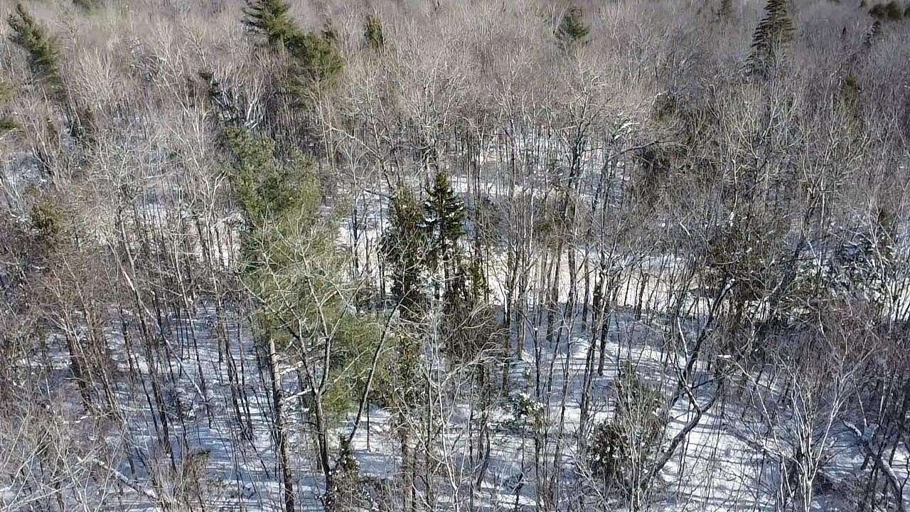 2 Acres of Residential Land for Sale in Lincoln, Maine