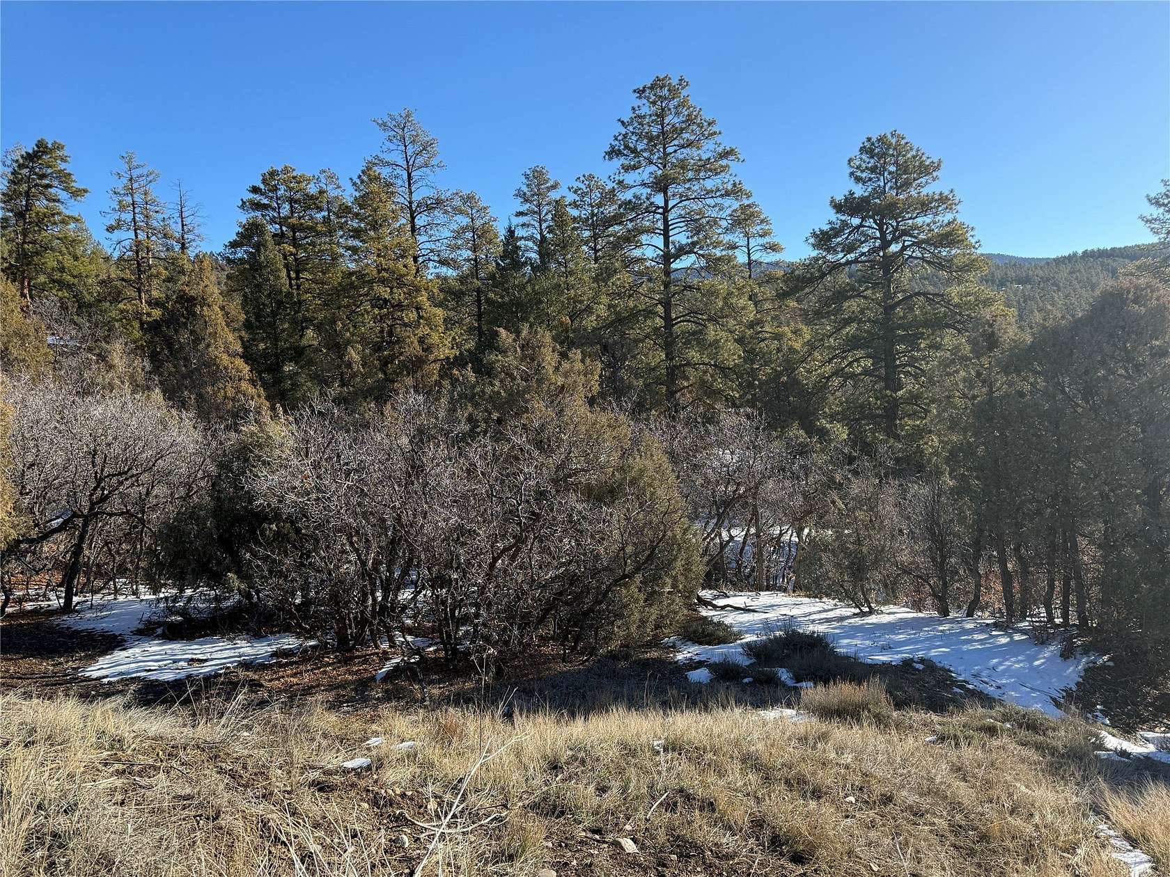 3.78 Acres of Residential Land for Sale in Chama, New Mexico