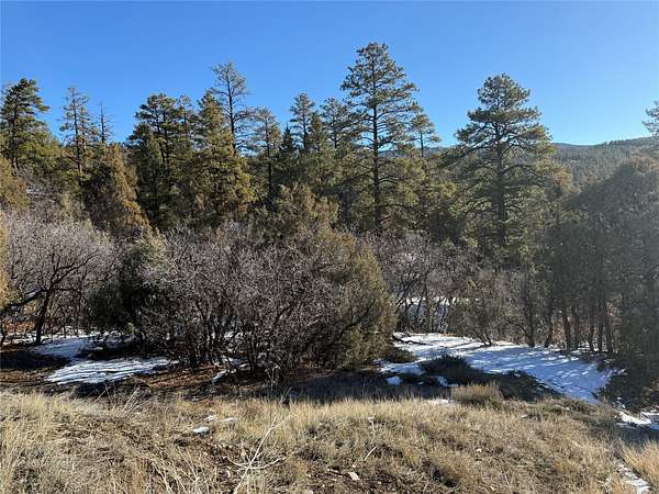 3.78 Acres of Residential Land for Sale in Chama, New Mexico