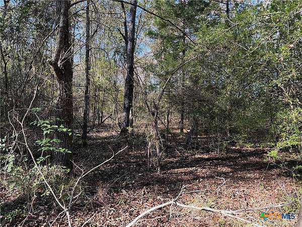 2.17 Acres of Residential Land for Sale in Fairfield, Texas