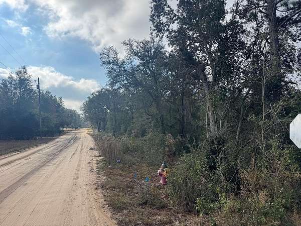 0.45 Acres of Land for Sale in Douglas, Georgia