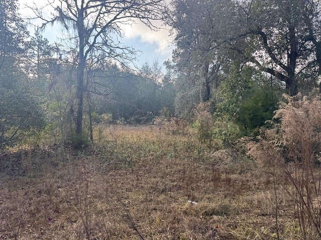 0.45 Acres of Land for Sale in Douglas, Georgia