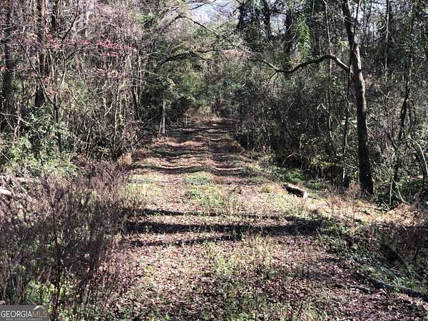 4.32 Acres of Residential Land for Sale in Thomaston, Georgia