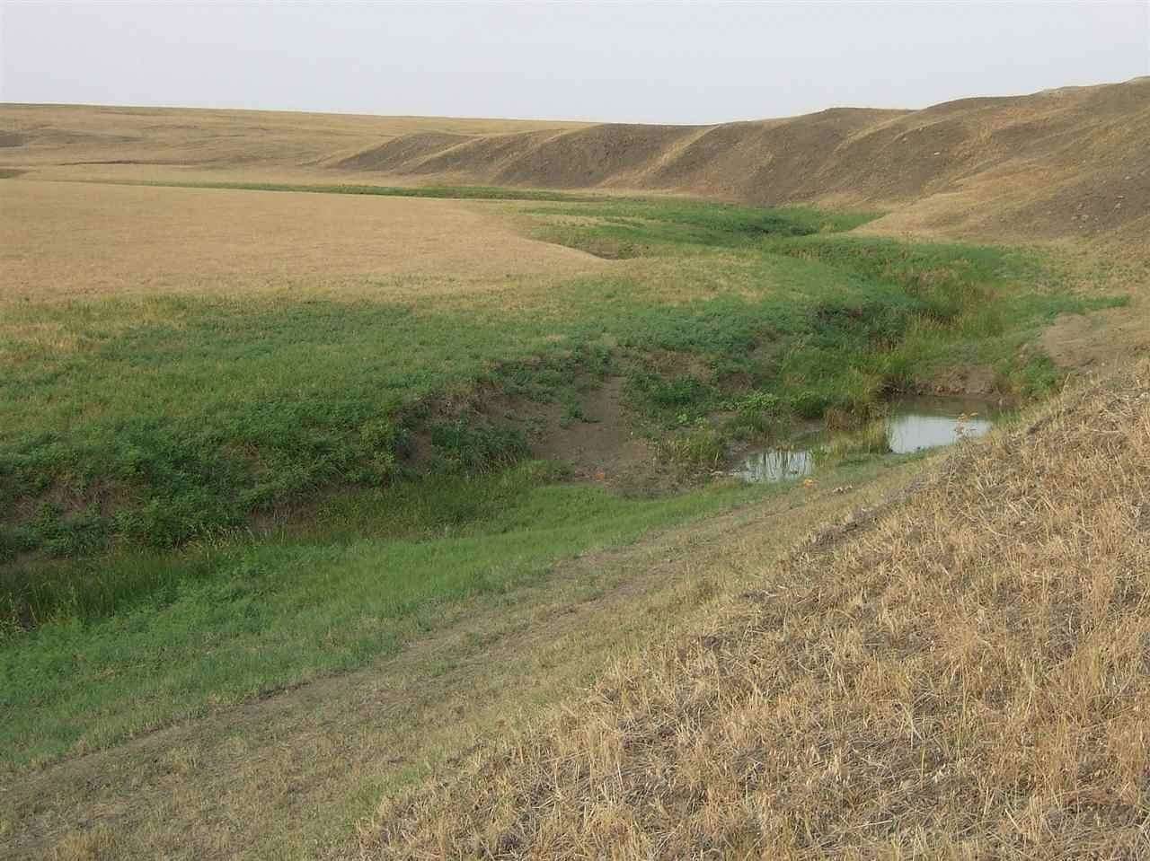 80 Acres of Land for Sale in Newell, South Dakota