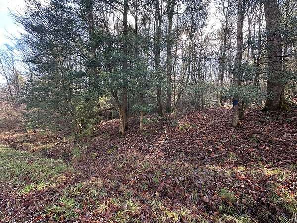 Residential Land for Sale in Murphy, North Carolina