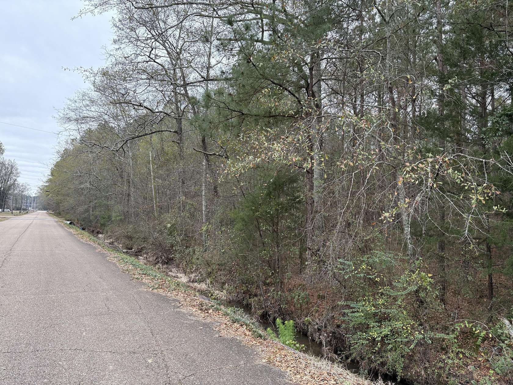 2.8 Acres of Residential Land for Sale in Amory, Mississippi