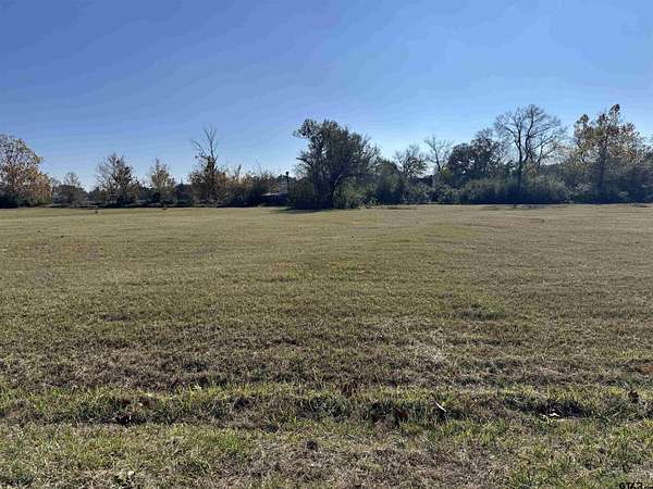 2 Acres of Residential Land for Sale in Mount Vernon, Texas