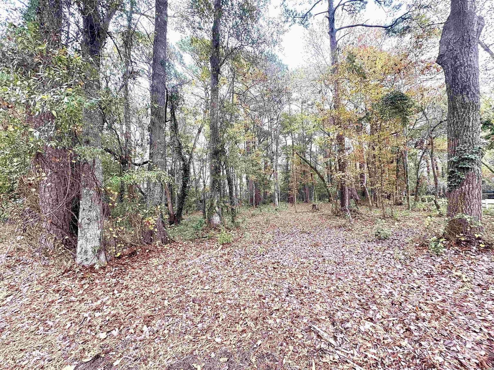 0.68 Acres of Residential Land for Sale in Pawleys Island, South Carolina