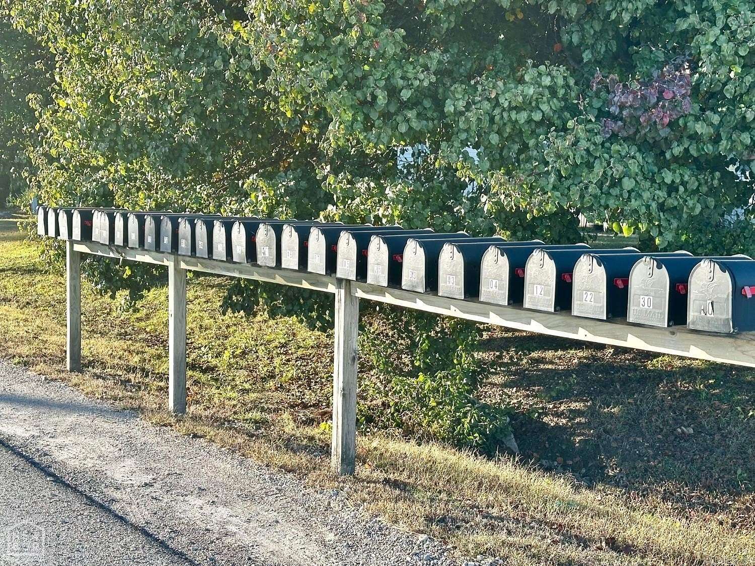 43 Acres of Recreational & Residential Land for Sale in Brookland, Arkansas