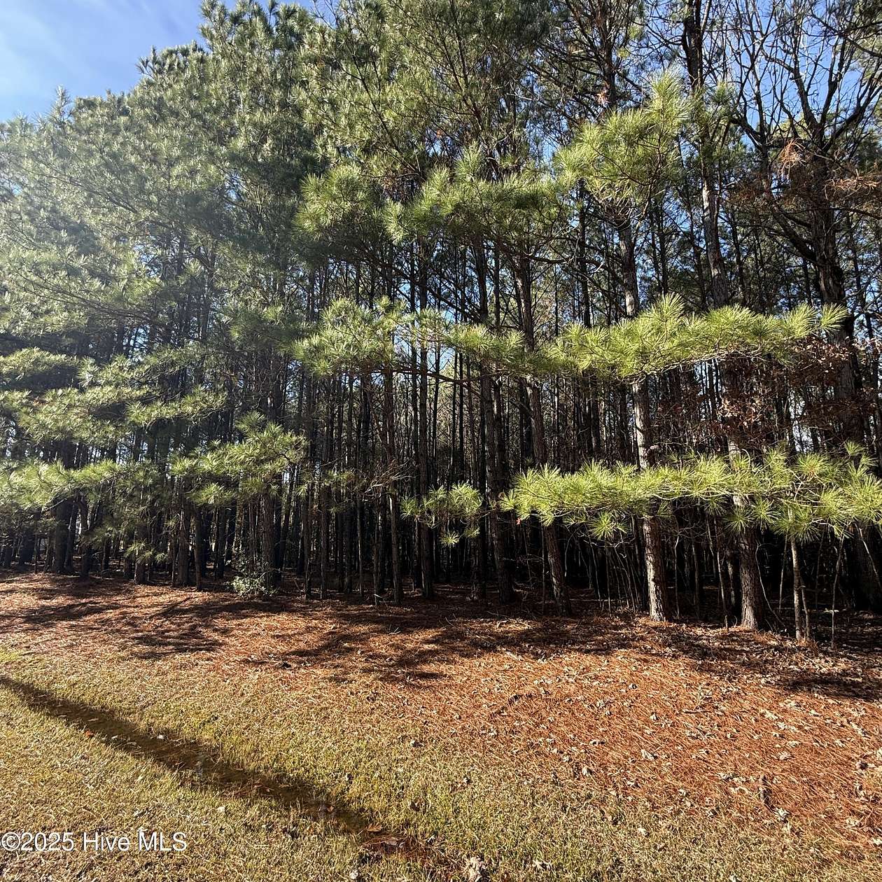 3.68 Acres of Residential Land for Sale in Hertford, North Carolina