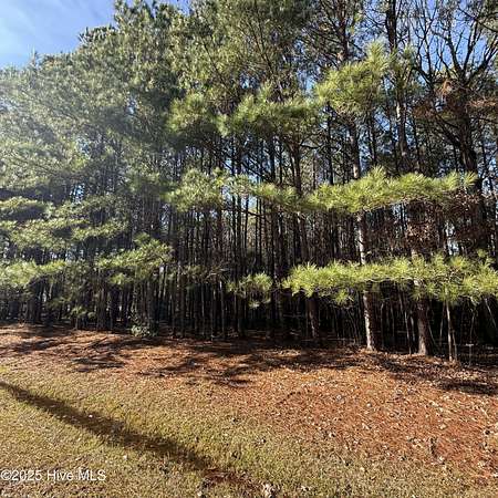 3.68 Acres of Residential Land for Sale in Hertford, North Carolina