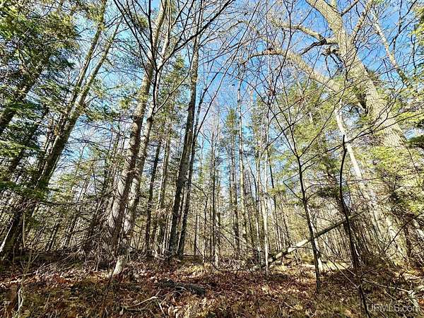 8.48 Acres of Residential Land for Sale in Iron Mountain, Michigan