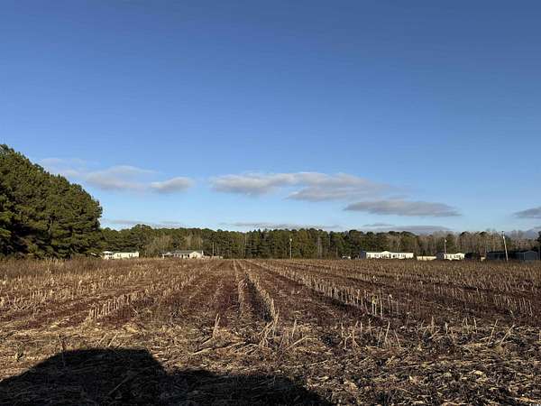 1.1 Acres of Residential Land for Sale in Kingstree, South Carolina