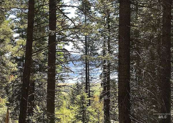 1.7 Acres of Land for Sale in Donnelly, Idaho