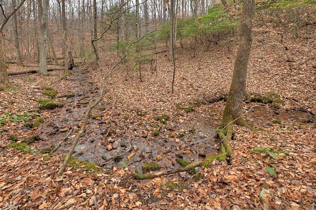 12.3 Acres of Land for Sale in Ellijay, Georgia