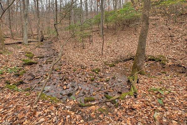 12.3 Acres of Land for Sale in Ellijay, Georgia