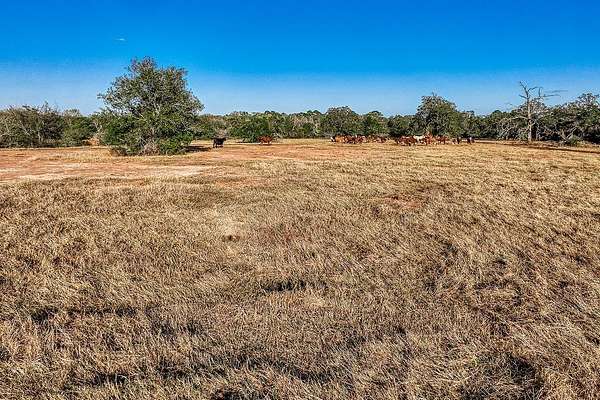 62.3 Acres of Land for Sale in Winchester, Texas
