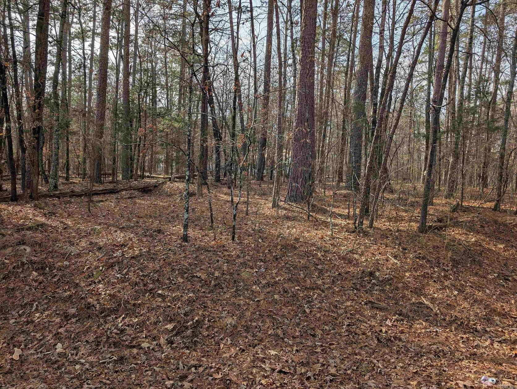 0.22 Acres of Residential Land for Sale in Hot Springs Village, Arkansas