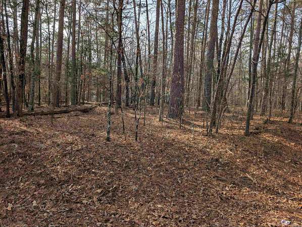 0.22 Acres of Residential Land for Sale in Hot Springs Village, Arkansas