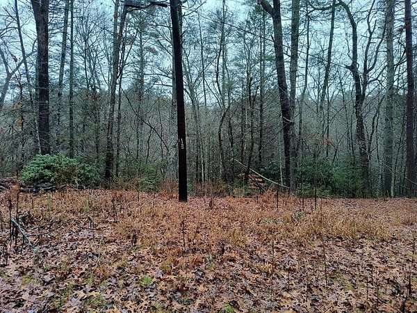 0.62 Acres of Land for Sale in East Ellijay, Georgia