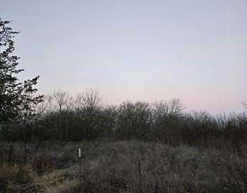 Land for Sale in Hillsboro, Texas