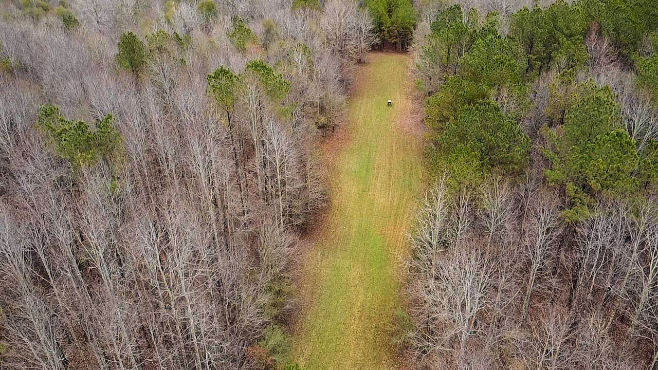 243 Acres of Recreational Land for Sale in Nauvoo, Alabama